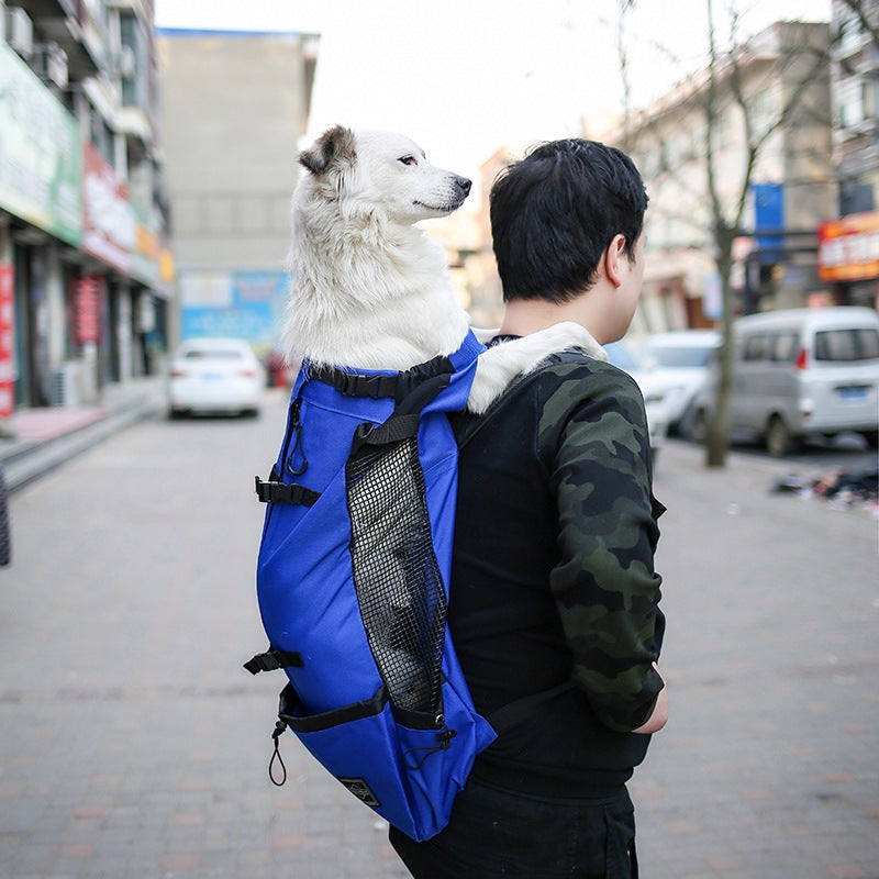 Portable Pet Dog Carrier Backpack – Double Shoulder Outdoor Travel Bag for Small Dogs, Comfortable Hands-Free Pet Carrier for Hiking & Travel